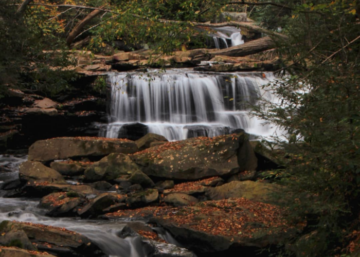 Deckers Creek
