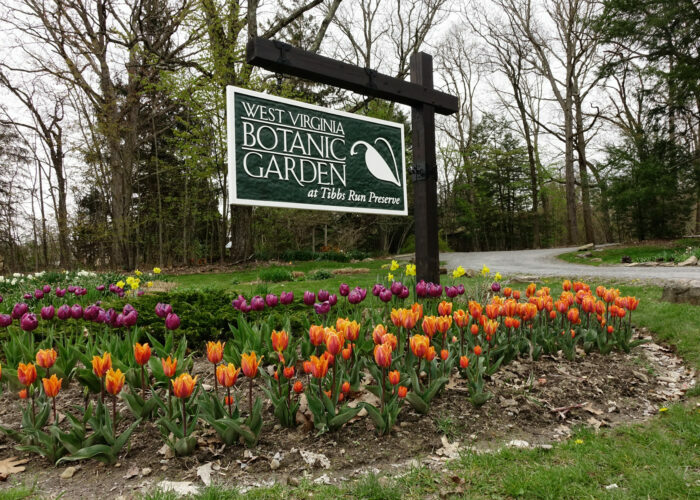 WV Botanic Garden WV Botanic Garden