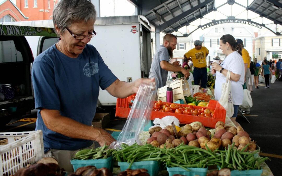 Four Ways To Help The Environment While In Morgantown
