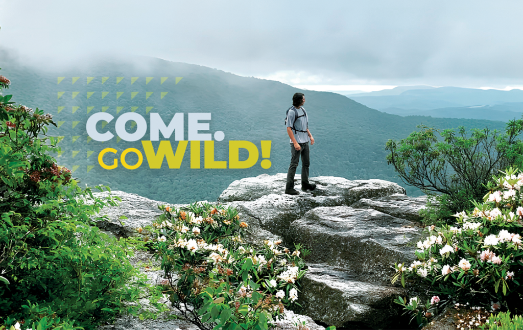 The Top 12 Hiking Adventures in Mountaineer Country