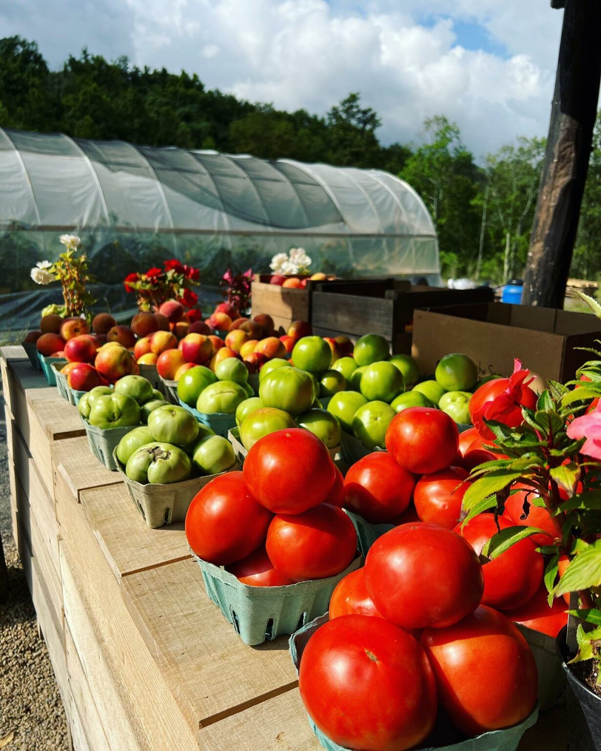 Mal’s Fresh Produce