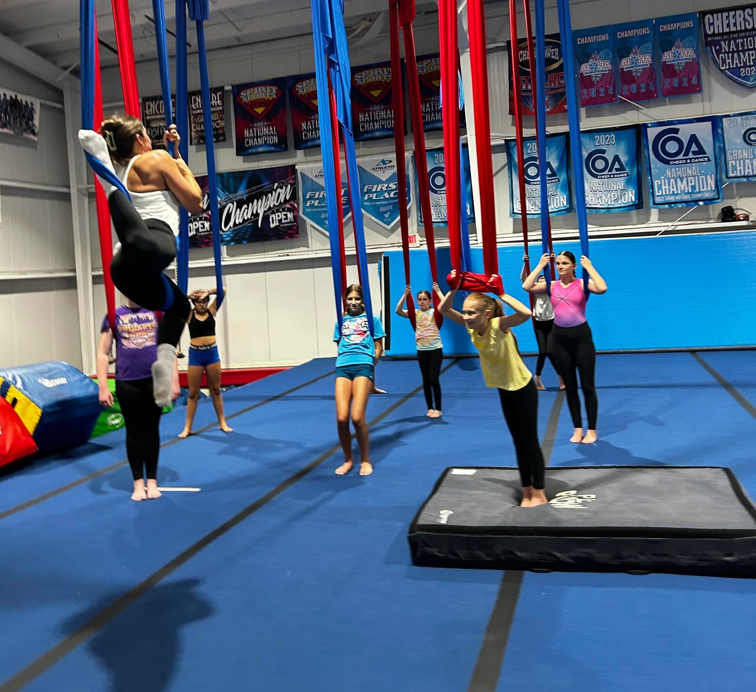 Aerial Instructor