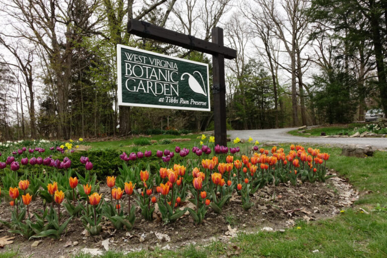 WVBG Spring 1024x683 1 768x512