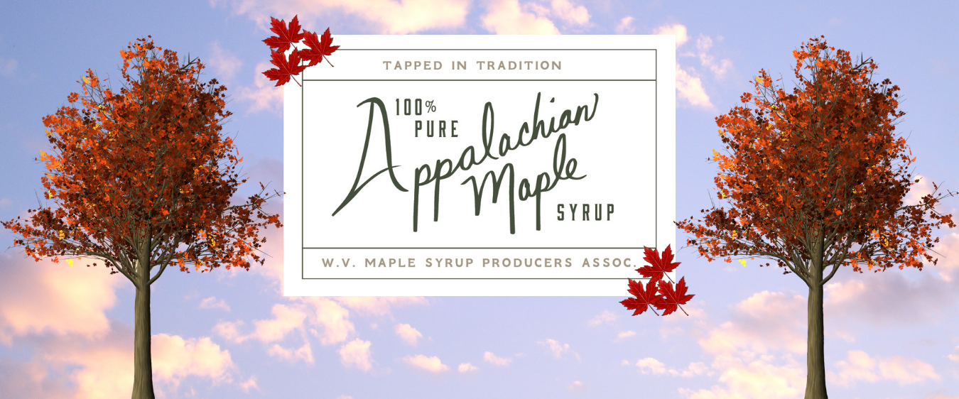 cropped-WVMSPA-web-banner2