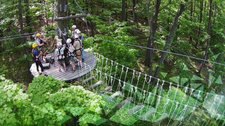 zipline1 1 768x432
