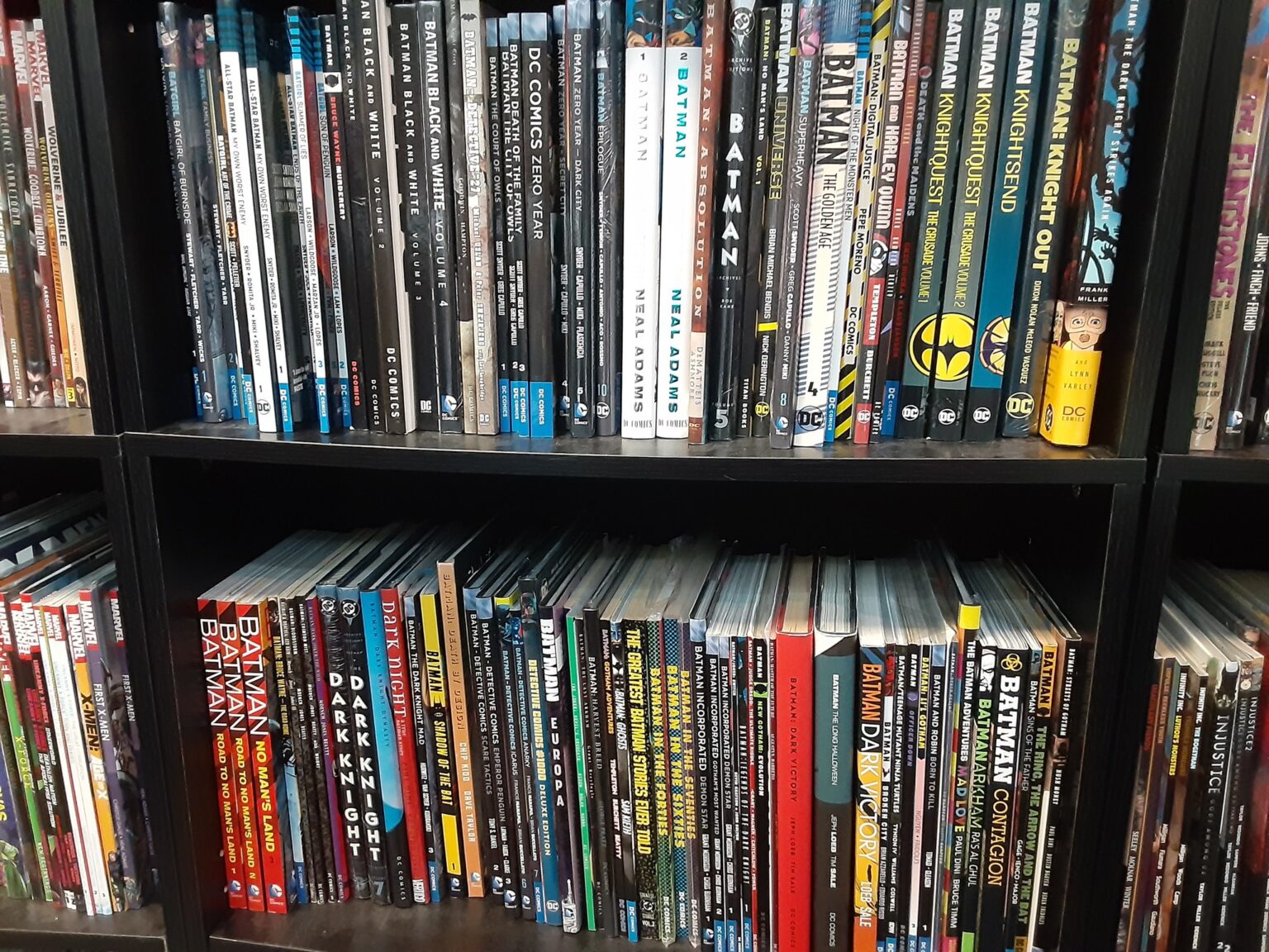 Comic Paradise Plus - Visit Mountaineer Country