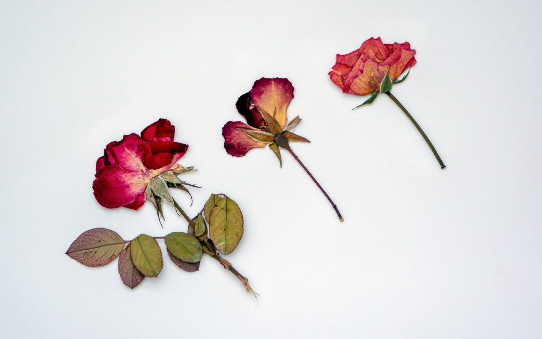 Flower Pounding Art: Card Making