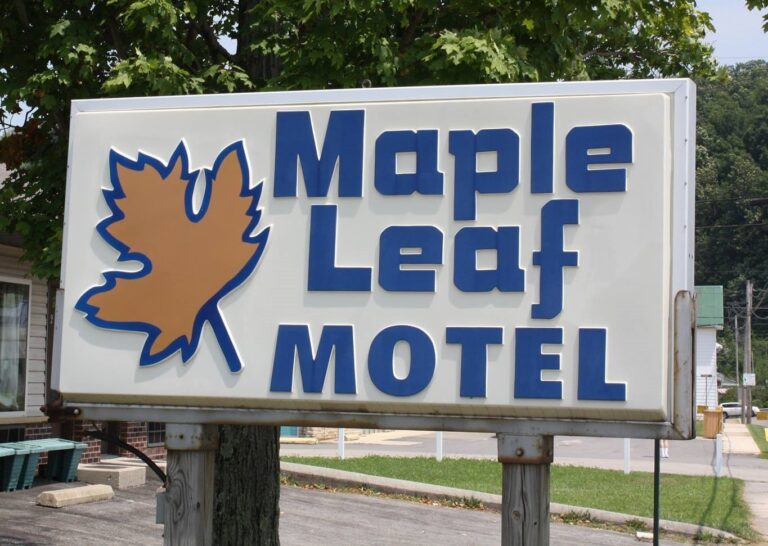 maple leaf 768x546