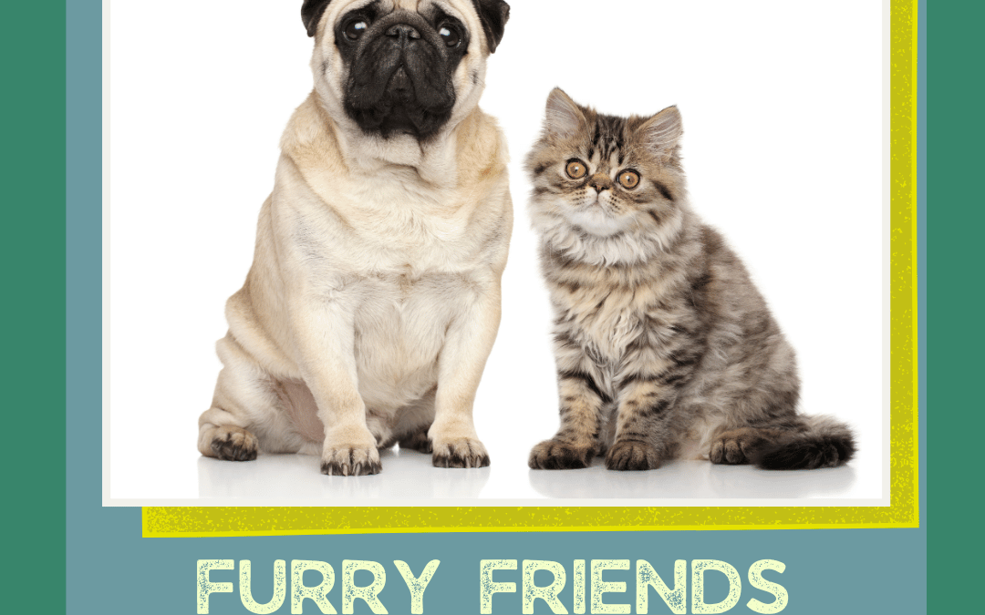 Summer Art Camp: Furry Friends