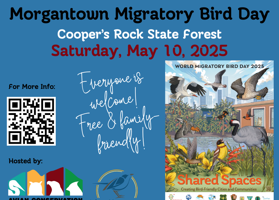 Morgantown Migratory Bird Day