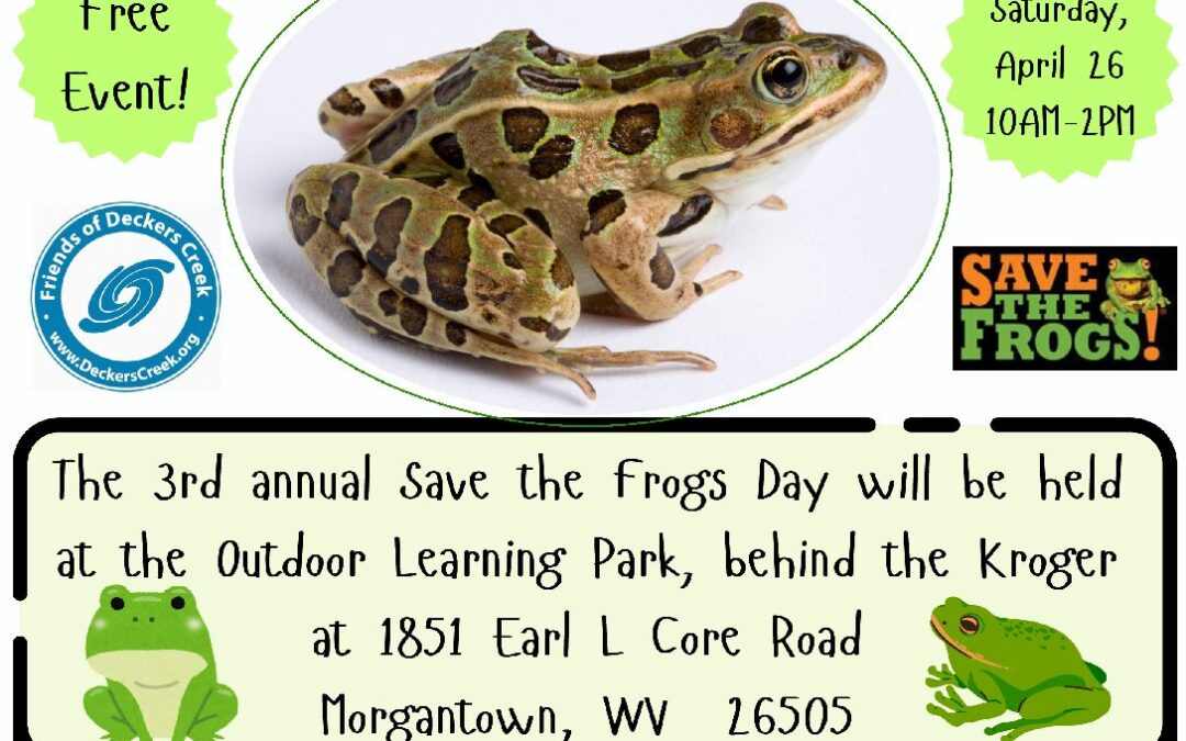Save The Frogs Day