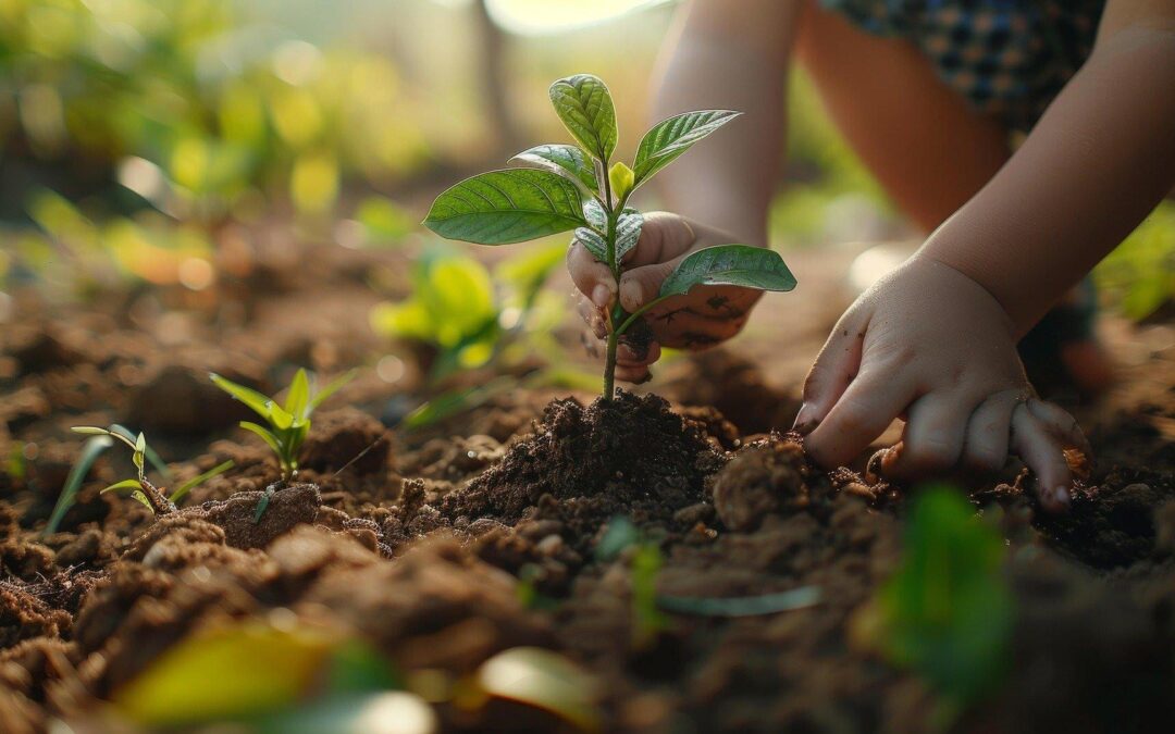 Young Gardeners Workshop: Vegetables