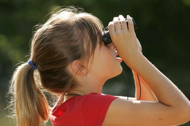 Young Birders