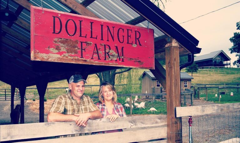 dollinger 768x457