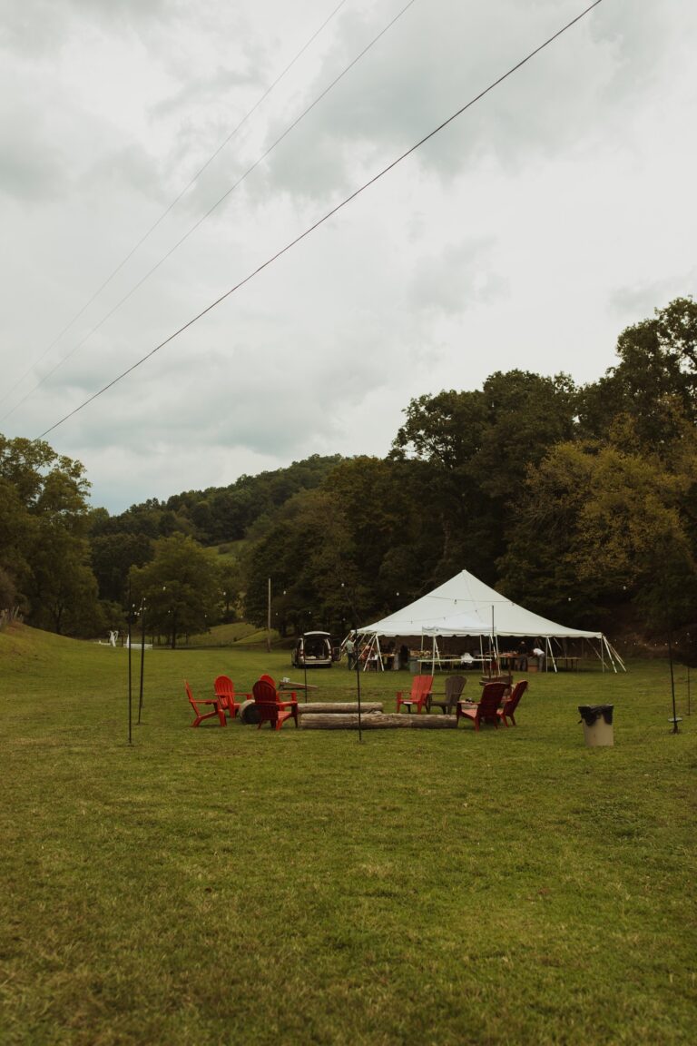 wedd 768x1152