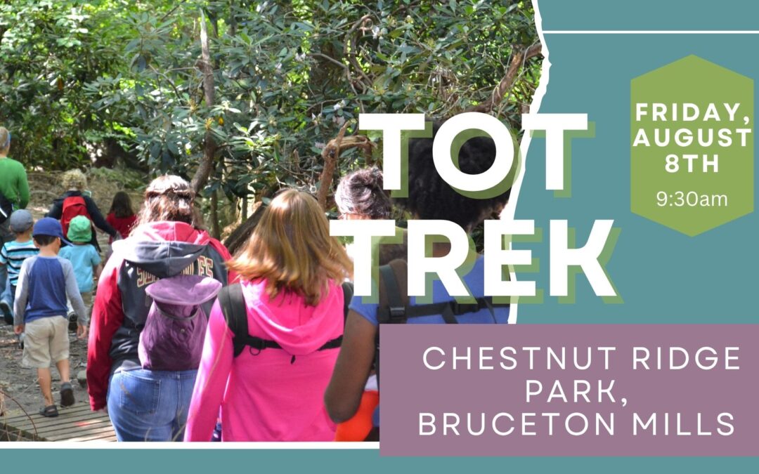 Tot Trek