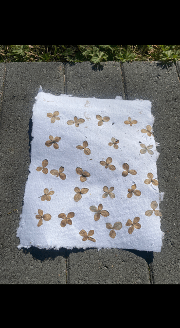 handmade paper by Kadijiha art for all ages