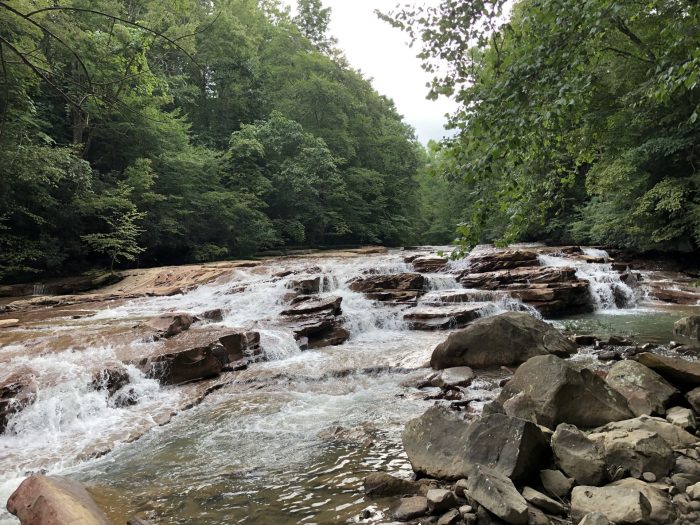 muddy creek pic