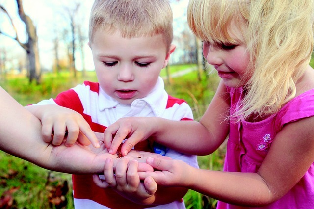Friday Family Walk and Craft