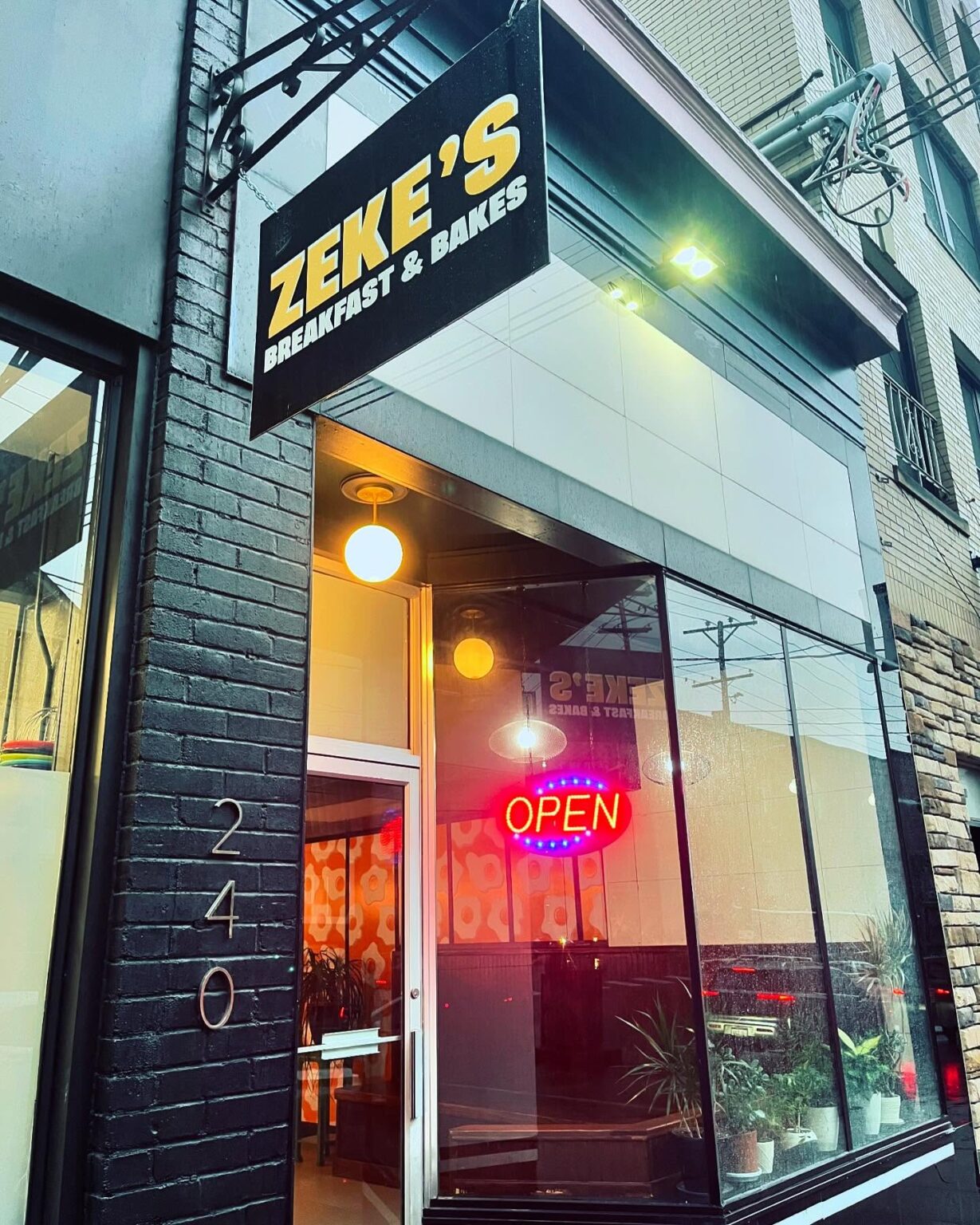 new zekes 1229x1536