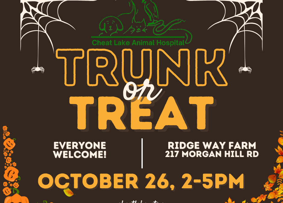 Trunk or Treat