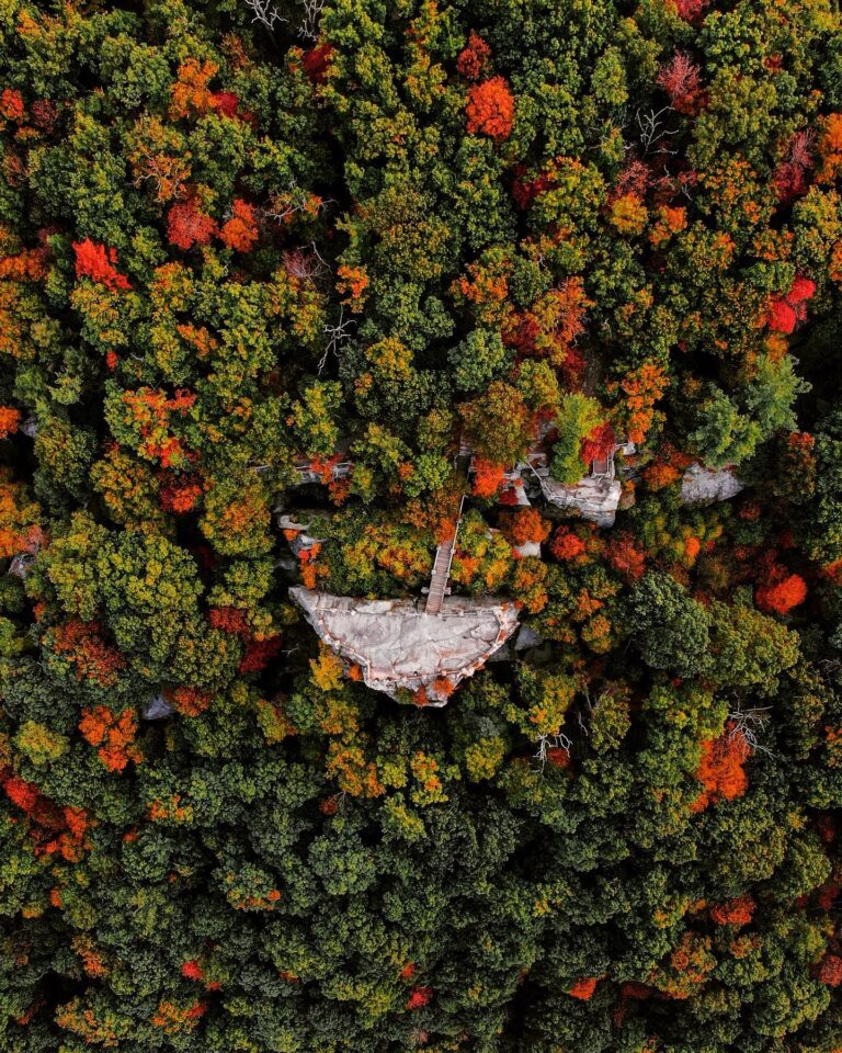 Coopers rock overhead fall 1 768x960