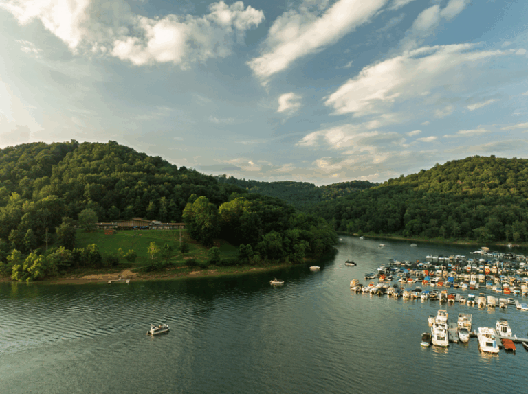 Tygart Lake State Park 768x574
