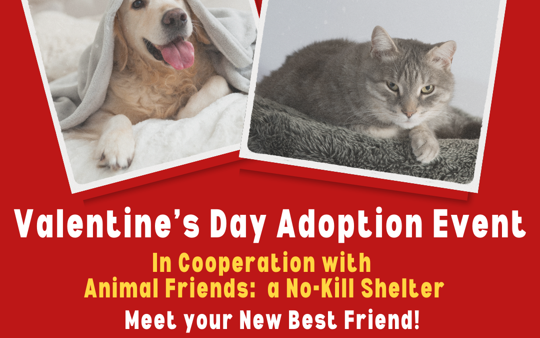 Valentine’s Day Pet Adoption Event